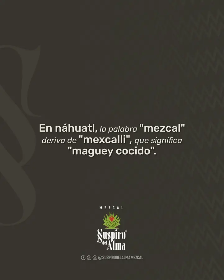 En náhuatl, mezcal deriva de mexcalli: maguey cocido — Suspiro del Alma